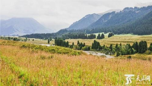 新疆景点爆料事件最新,揭秘神秘角落背后的真实故事  第1张