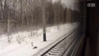 雪国列车 在线观看,末世列车生存之旅  第1张