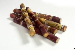 甘蔗爆料原视频,揭秘原视频背后的惊人真相  第1张